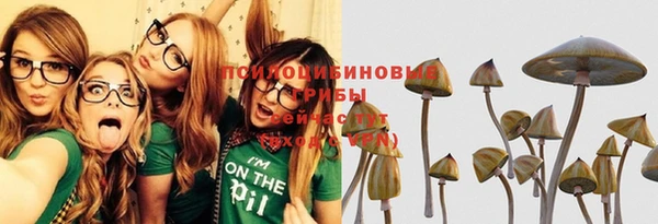 прущая мука Новодвинск