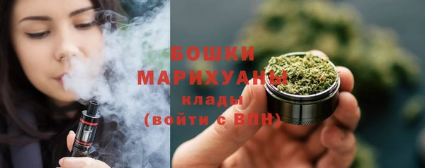 индика Болхов