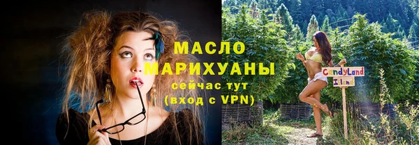 индика Болхов