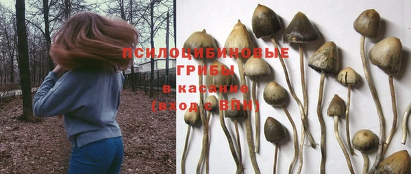 МДМА Новозыбков