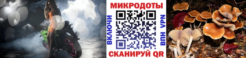 ОМГ ОМГ ССЫЛКА  Лиски  Псилоцибиновые грибы Psilocybine cubensis 